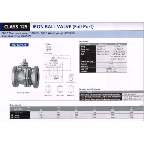 IRON BALL VALVE (Full Port) 125FCTB