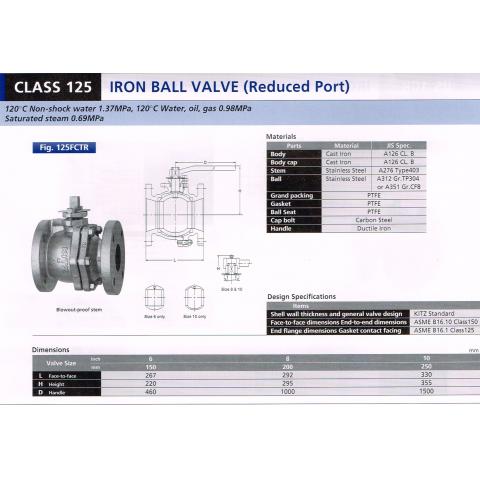 IRON BALL VALVE (Reduced Port) 125FCTR