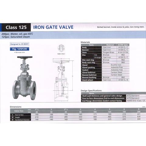 IRON GATE VALVE 125FCHI