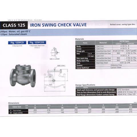 IRON SWING CHECK VALVE 125FCO 125FCOS