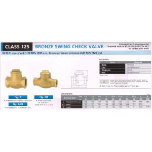 BRONZE SWING CHECK VALVE 125 R CR AKR