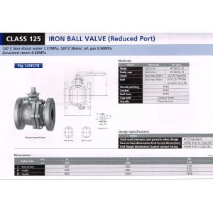 IRON BALL VALVE (Reduced Port) 125FCTR