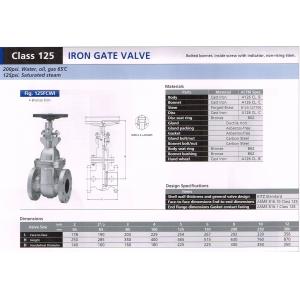 IRON GATE VALVE 125C...