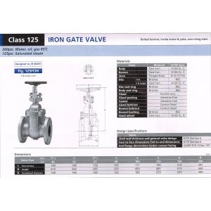 IRON GATE VALVE 125F...