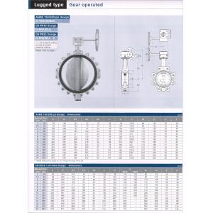 Lugged type Gear Operated G150-200 G-PN16DJL G-PN25DJ