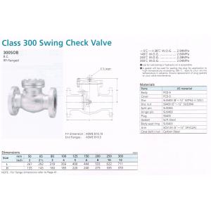 SWING CHECK VALVE 30...